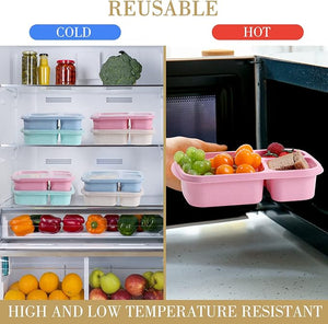 Bento Lunch Box (Set of 20)