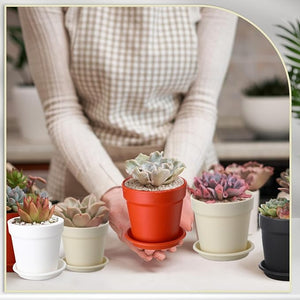 4" Plastic Plant Pot Set (Assorted Color, Set of 100)