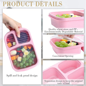 Bento Lunch Box (Set of 20)