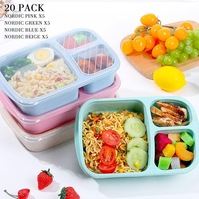 Bento Lunch Box (Set of 20)