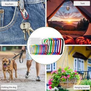 Aluminum D-Ring Clip & Keyring Set (Assorted Size/Color, Set of 140)