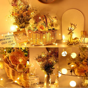 20 Feet 40 LED Fairy String Light (Set of 16)