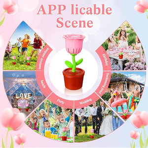 Rose Bubble Machine with LED Light (Set of 2)