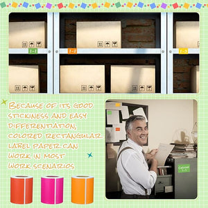 2"x3" Colored Label Sticker (5 Bright Color, Adhesive, Tearable 5 Rolls, Total 500 Pcs)