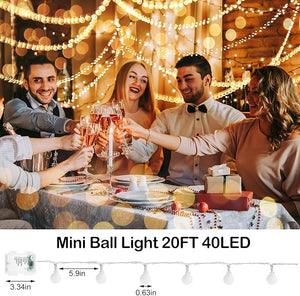 20 Ft 40 LED Globe String Light (Set of 6)