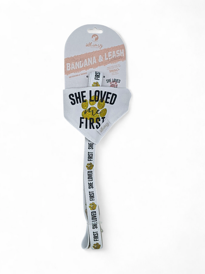 Dog Bandana Collar & Leash – Assorted S/M/L