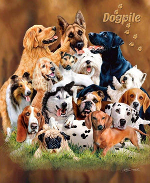 Signature Collection Mink Plush Blanket  for Animal Lovers, 79"x95"(QUEEN) - EverydaySpecial