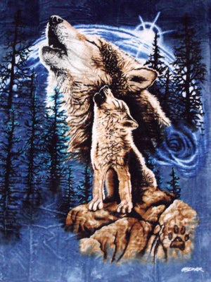 Signature Collection Mink Plush Blanket  for Animal Lovers, 79"x95"(QUEEN) - EverydaySpecial