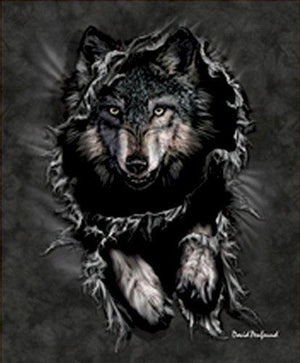 Signature Collection Mink Plush Blanket  for Animal Lovers, 79"x95"(QUEEN) - EverydaySpecial