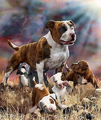 Signature Collection Mink Plush Blanket  for Animal Lovers, 79"x95"(QUEEN) - EverydaySpecial